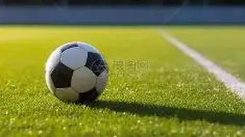 陈家政适合在NCAA磨练，其类型球员受大学球队青睐