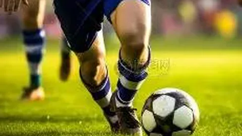 开云体育平台 资讯 131859 svv