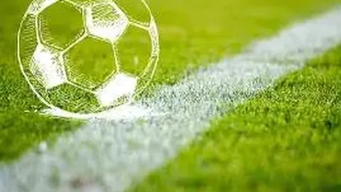 开云体育平台 产品 113847 sdf