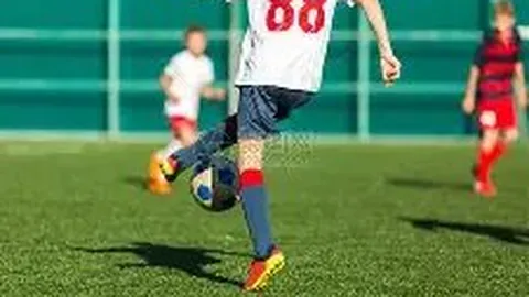 开云体育平台 产品 110341 nsp