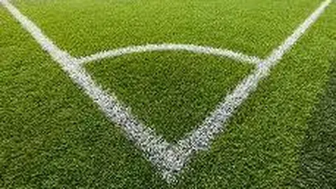 开云体育平台 资讯 131532 2tv