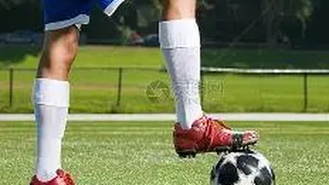 森林狼战绩亮眼：10胜5负，全胜对手胜率不足五成